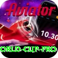 1992 world cup Bonus Champion v4.2.7