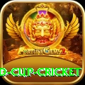 2022 world cup cricket Premium v1.7.0