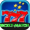 all cricket match VIP Edition v1.4.8