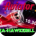 antigua hawksbill Deluxe Pro v3.2.9