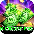 australian cricket - Slots Super