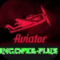 bingopkr Premium v3.3.7