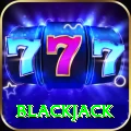 blackjack Pro v5.2.3