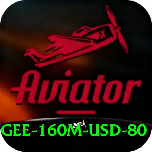 bungee 160m usd 80 Pro Max v1.4.1 - 2