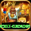 cricket ground Premium v1.1.0