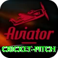 cricket pitch Pro v4.4.9