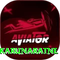dimuth karunaratne Pro Edition v3.6.1