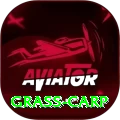 grass carp Master v1.4.9