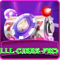 herschelle gibbs Slot Machine Turbo