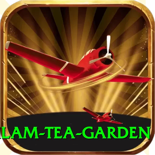 hile ilam tea garden Deluxe Pro v5.7.4 - 2