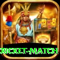india pakistan cricket match VIP v1.6.8