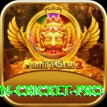 india pakistan cricket APK Prime v3.8.0