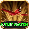 india test match Pro Edition v1.1.5