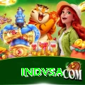 indvsa Pro1 v4.8.5