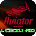 international cricket Earn Champion v3.3.2