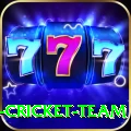 ireland cricket team Master Pro v3.3.9