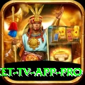 live cricket tv app - Pro v2.4.2