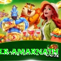 mohinder amarnath Deluxe Edition v4.0.7