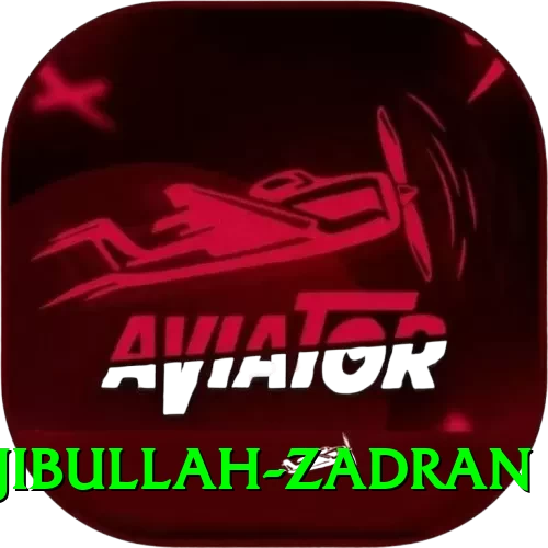 najibullah zadran Pro v4.2.5 - 2