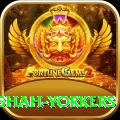 naseem shah yorkers Pro Edition v3.8.3