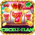 new zealand cricket team Max v1.3.2