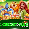 one cricket Champion Casino App
