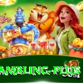 online gambling Pakistan King v2.0.6