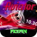 pkspin Deluxe Edition v3.9.5