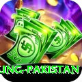 responsible gambling pakistan Pro1 v1.1.0