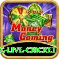 smartcric live cricket VIP v5.8.2