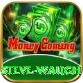 steve waugh Plus Pro v4.0.7
