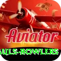 wicket hauls bowlers Elite v3.0.7