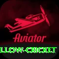 willow cricket Apps (Tools & Injectors) Gold v2.4.5