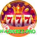 willow cricket Official v3.0.8